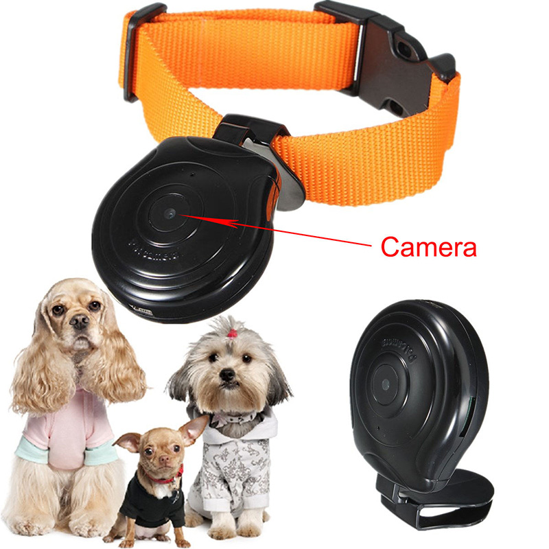 dog collar video camera