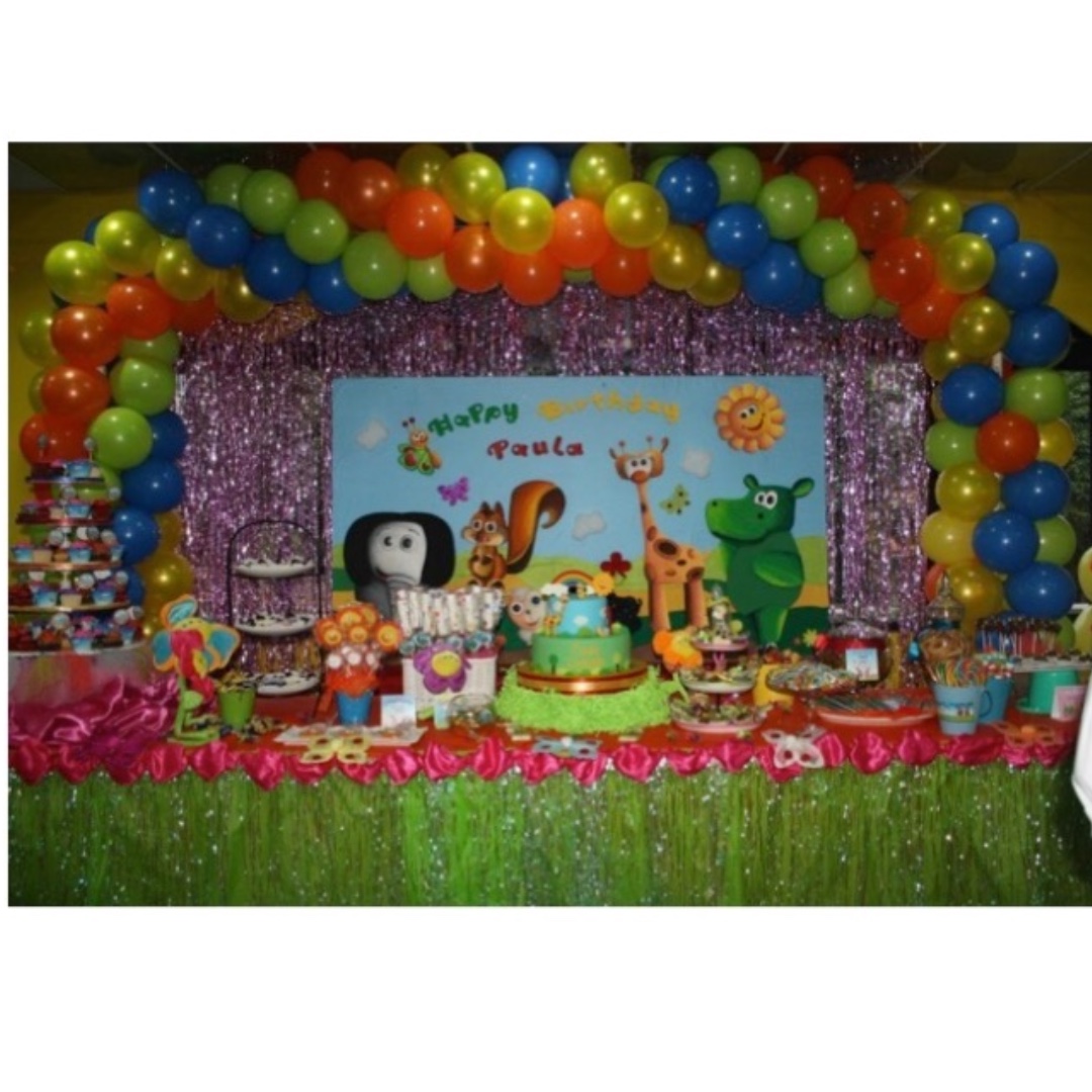 Baby Tv Themed Birthday Party Party Supplies Pls Chat With Us