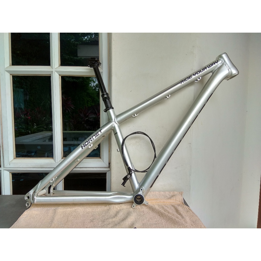 frame dartmoor hornet