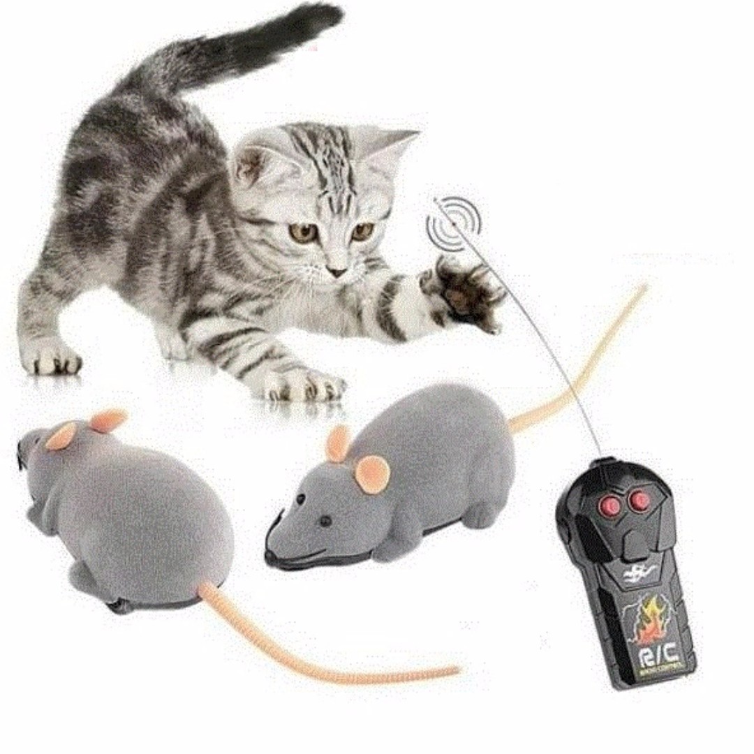 catch the mouse cat toy