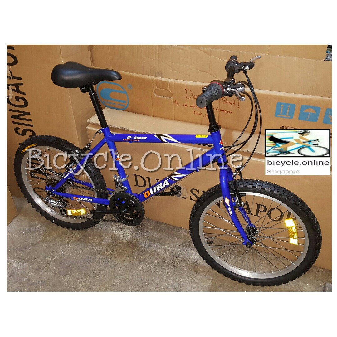 20 in bike for what age