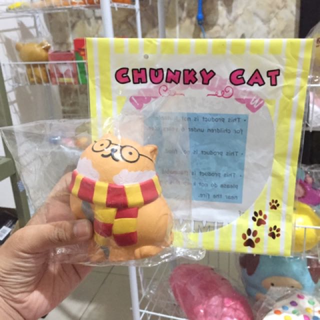 chunky cat squishy