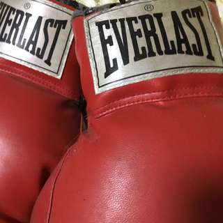 Everlast Boxing Gloves (used)