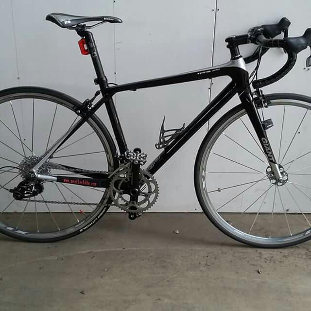 giant tcr limited
