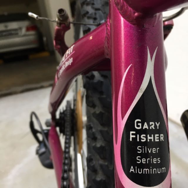 Kids Mountain Bike Gary Fisher Cosmo 20