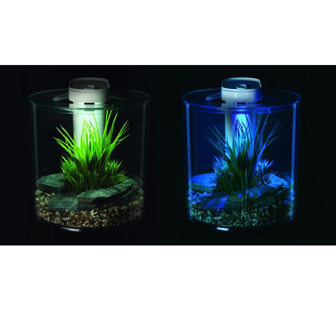 Marina 360 10L Aquarium Tank Pet Supplies Homes Other Pet Accessories on Carousell