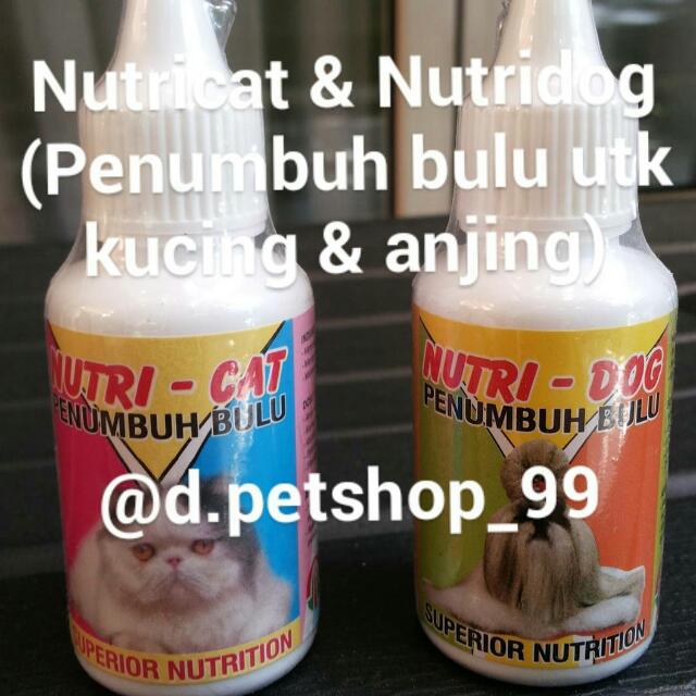 Nutridog Penumbuh Bulu Anjing Pet Supplies Accessories On Carousell
