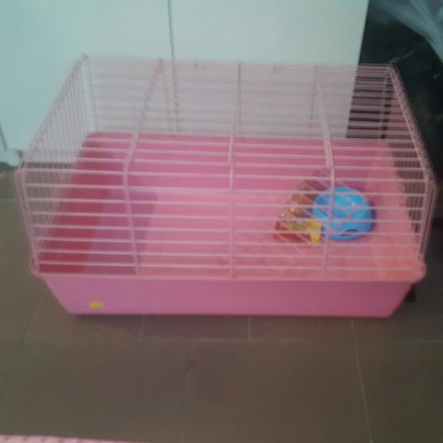 Rabbit Cage, Pet Supplies, Homes & Other Pet Accessories on Carousell