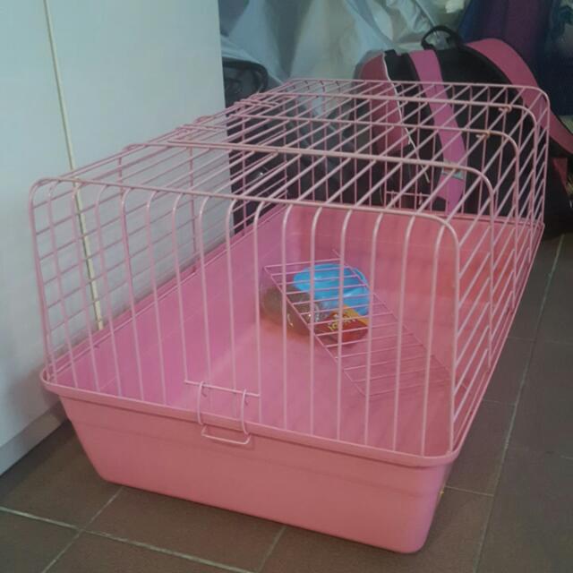 Rabbit Cage, Pet Supplies, Homes & Other Pet Accessories on Carousell
