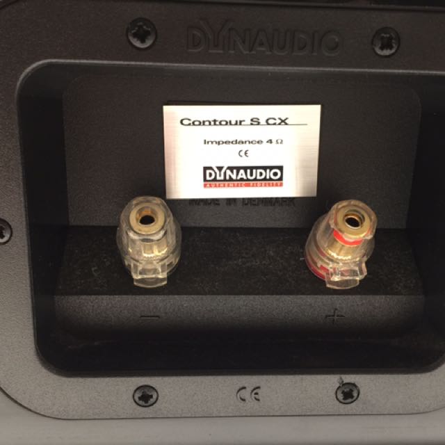 dynaudio scx