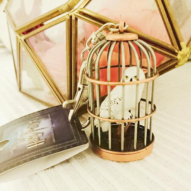 Limited Harry Potter Firuchi Shops Hedwig (cage) Figure Key Chain, 興趣及 ...