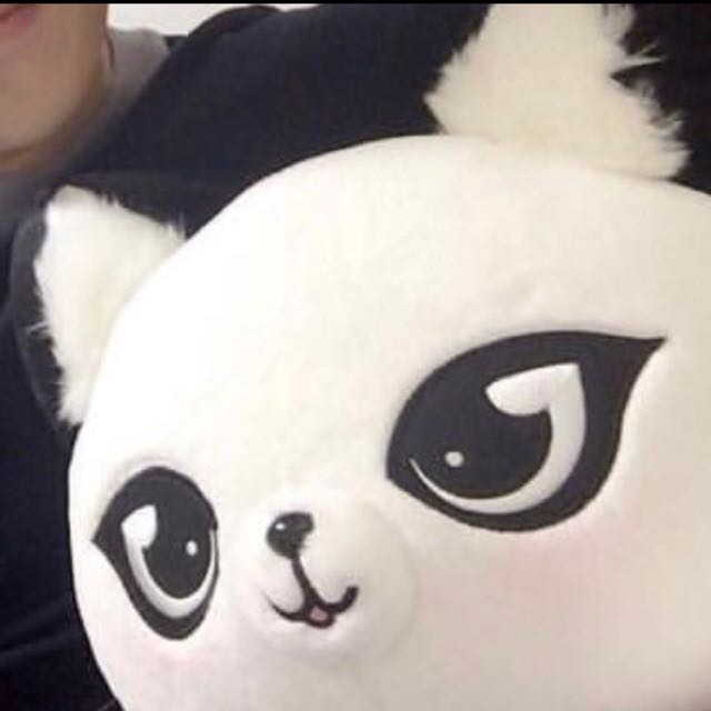Panda Cat Plush Strong Woman Do Bong Soon Entertainment K Wave On Carousell