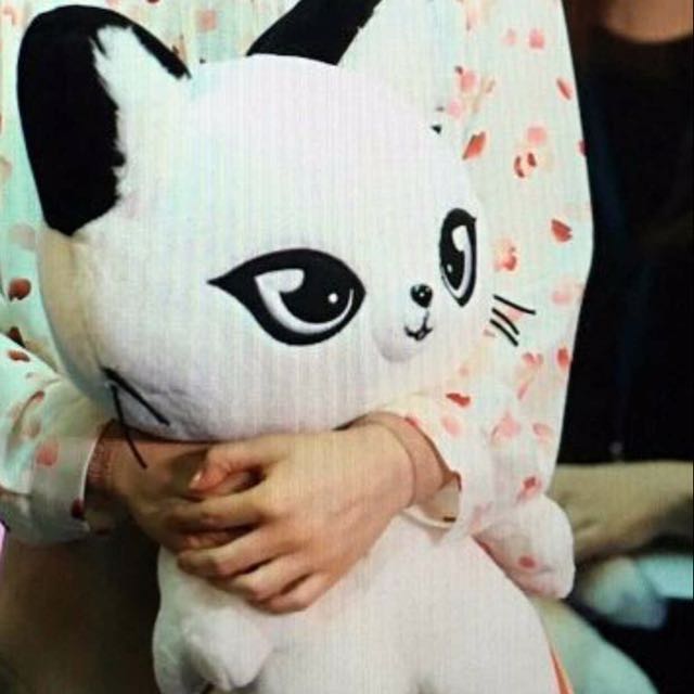 Panda Cat Plush Strong Woman Do Bong Soon Entertainment K Wave On Carousell