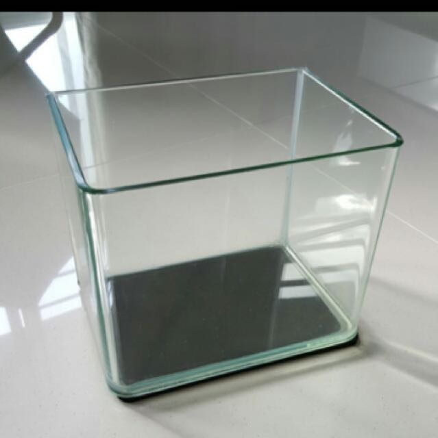 Betta Fish Tank, Pet Supplies, Homes & Other Pet Accessories on Carousell