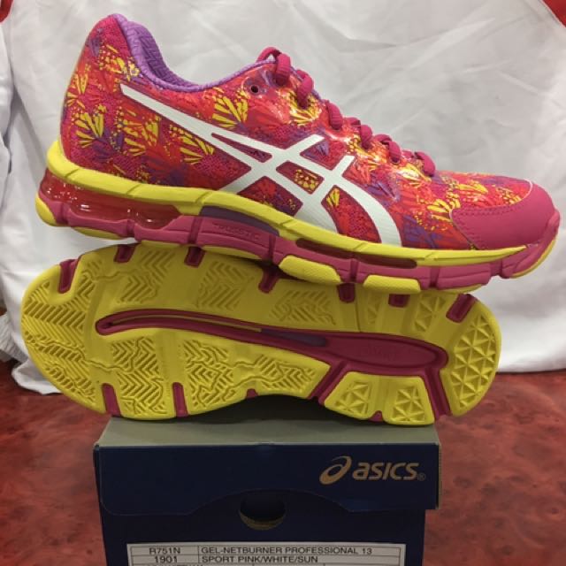 netburner professional 13