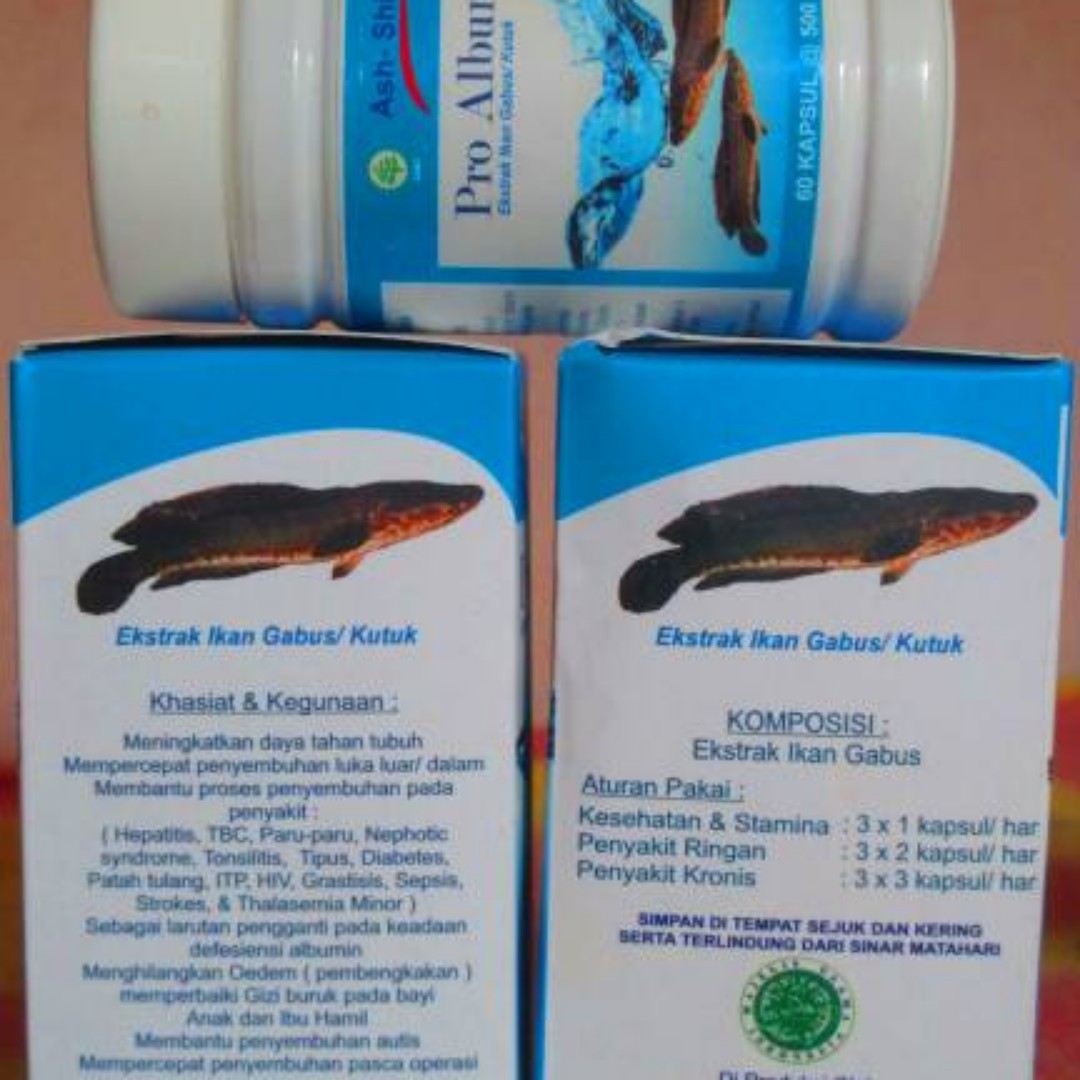 Pro Albumin Ekstrak Ikan Gabus - Kutuk, Health & Beauty, Skin, Bath, & Body on Carousell