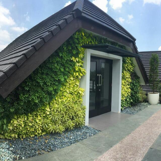 Taman Vertical Indonesiawall Garden Gardening On Carousell