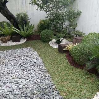 we do landscape services