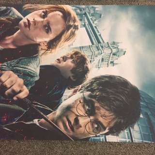 2x Large Harry Potter Posters