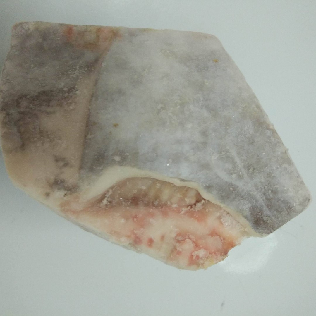 FROZEN SWORDFISH COLLAR BONE, Food & Drinks, Chilled & Frozen Food on Carousell