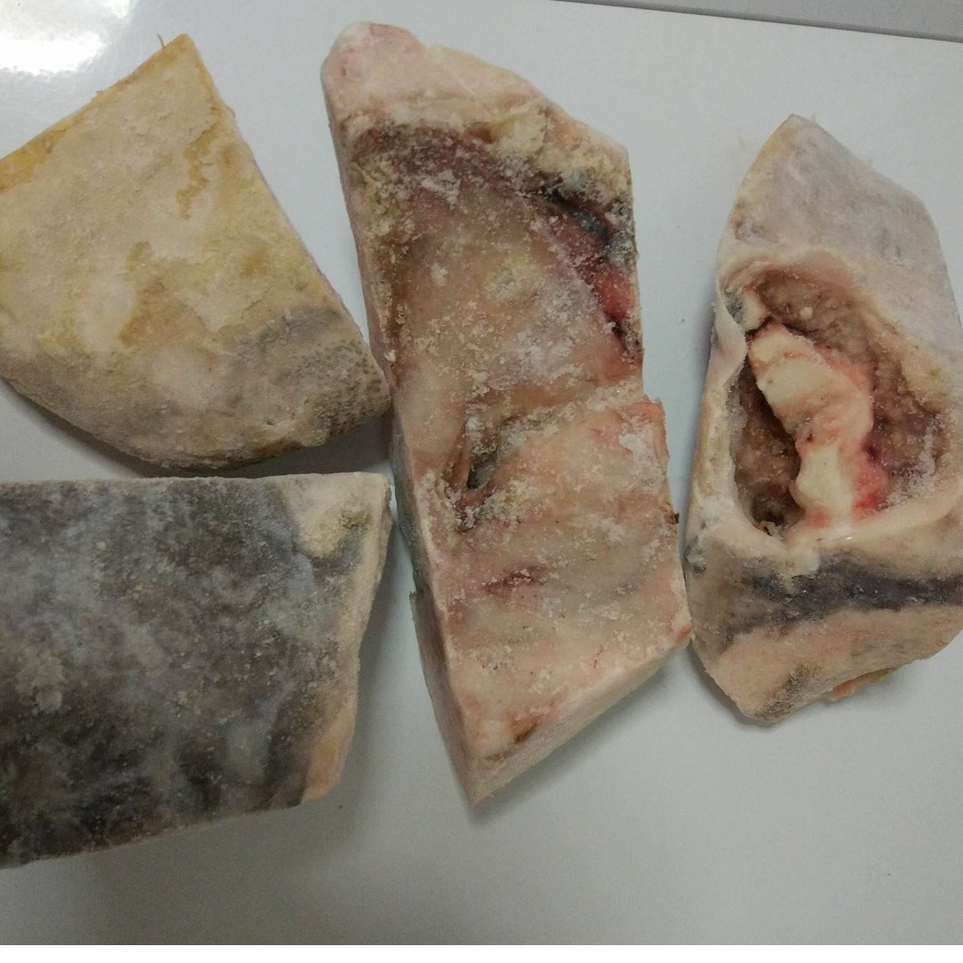 FROZEN SWORDFISH COLLAR BONE, Food & Drinks, Chilled & Frozen Food on Carousell