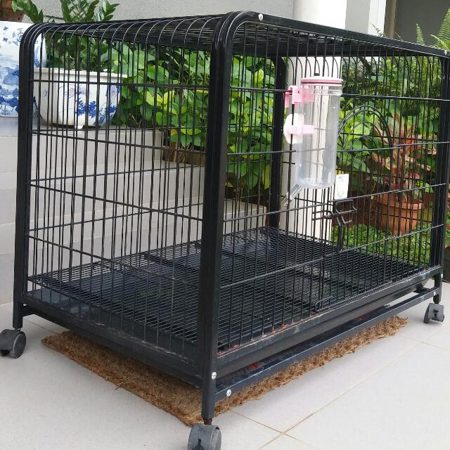 Kandang Anjing Ukuran 90 X 60 Cm Pet Supplies Accessories On