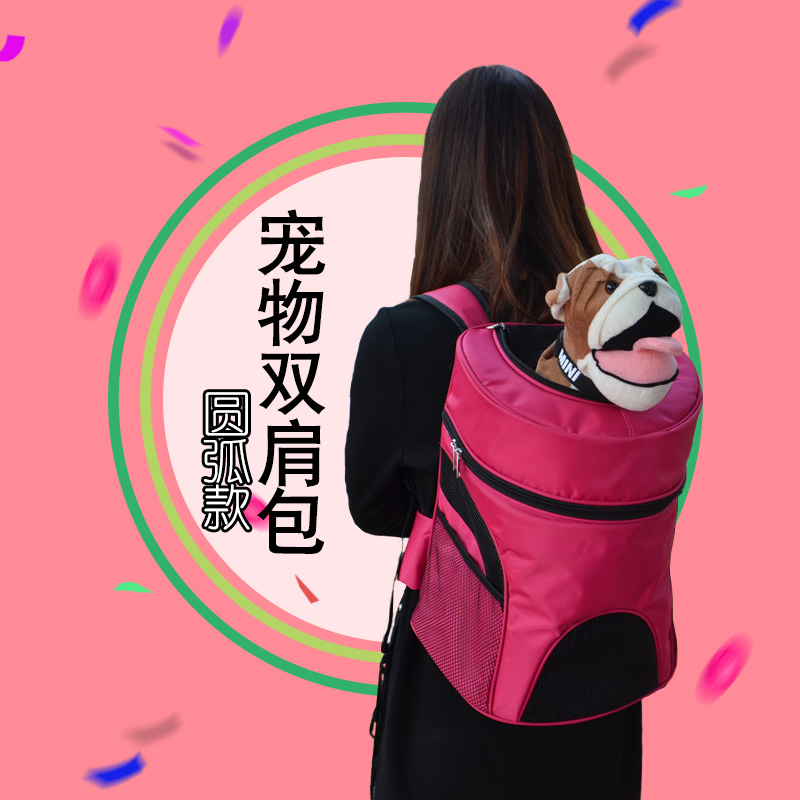 Cat carrier, Pet Supplies, Homes & Other Pet Accessories on Carousell