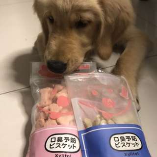 Fresh Breath Biscuit Treats