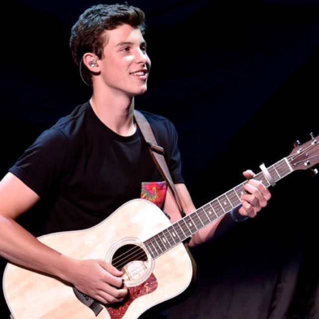 Shawn Mendes Cat 2!!, Hobbies & Toys, Memorabilia & Collectibles, Fan