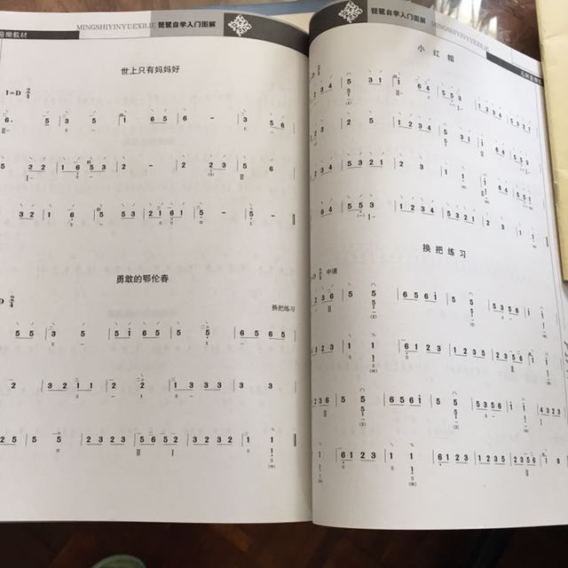 琵琶自学入门图解