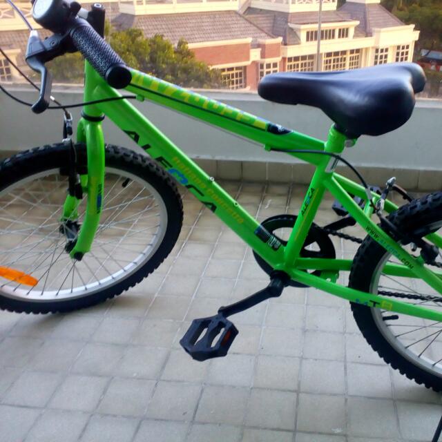 age 10 bike