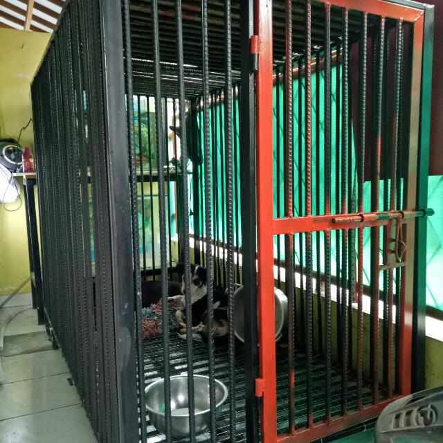 Carousell Snap To List Chat To Buy