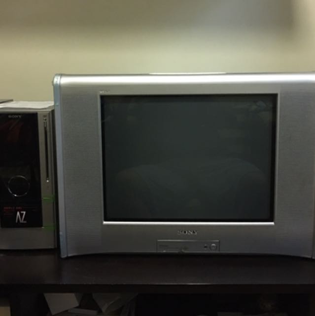 SONY Trinitron Wega 24inch TV and DVD Component with Speaker, Audio