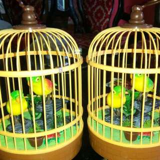  Gambar Burung Lovebird Robot 