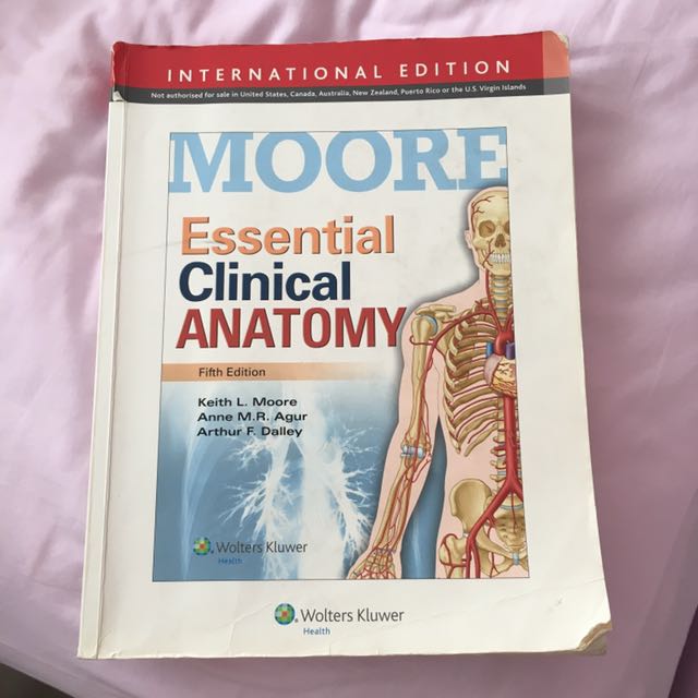 Moore Essential Clinical Anatomy Hobbies Toys Books Magazines Textbooks On Carousell