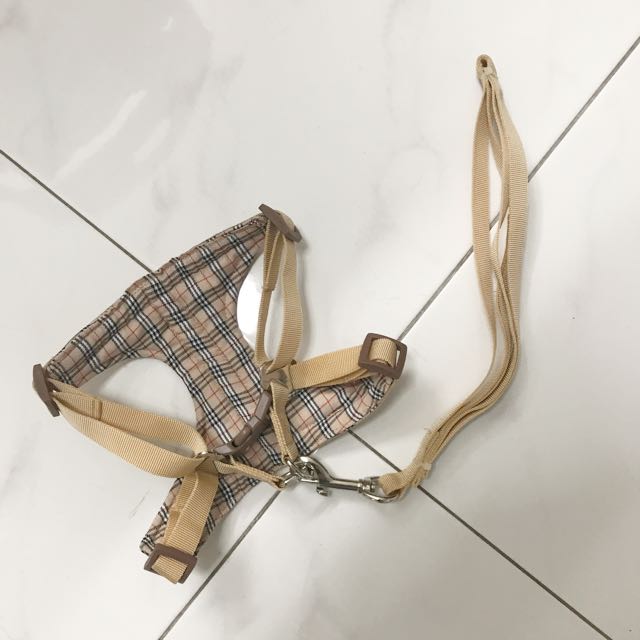 burberry harness small dog