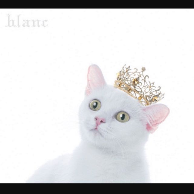 全新未開封 日本直送Aimer BEST SELECTION "blanc" CD 初回生產限定盤A 連bluray, 興趣及遊戲, 收藏品
