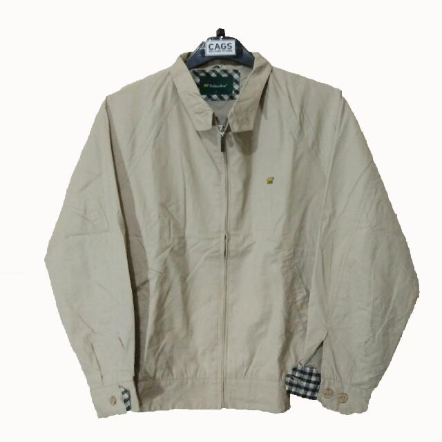 Golden best sale bear harrington