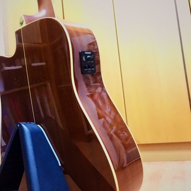 Washburn WD10CE Dreadnought Cutaway Acoustic Electric Guitar, Hobbies