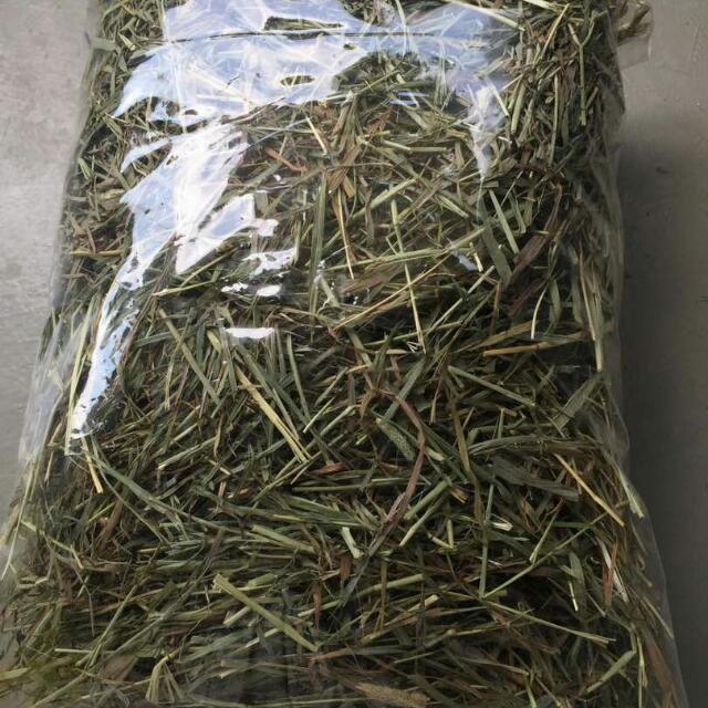 Premium Timothy Hay, Rabbit Food, Guinea Pig Food, Pet Supplies, Pet