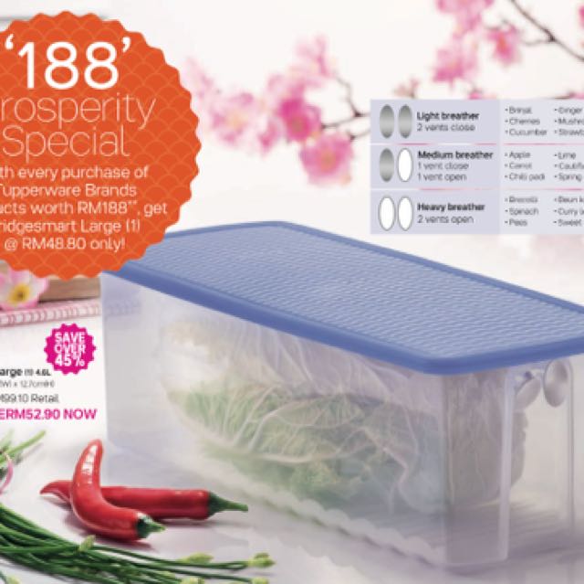 Tupperware Fridgesmart Large, TV & Home Appliances, Kitchen Appliances