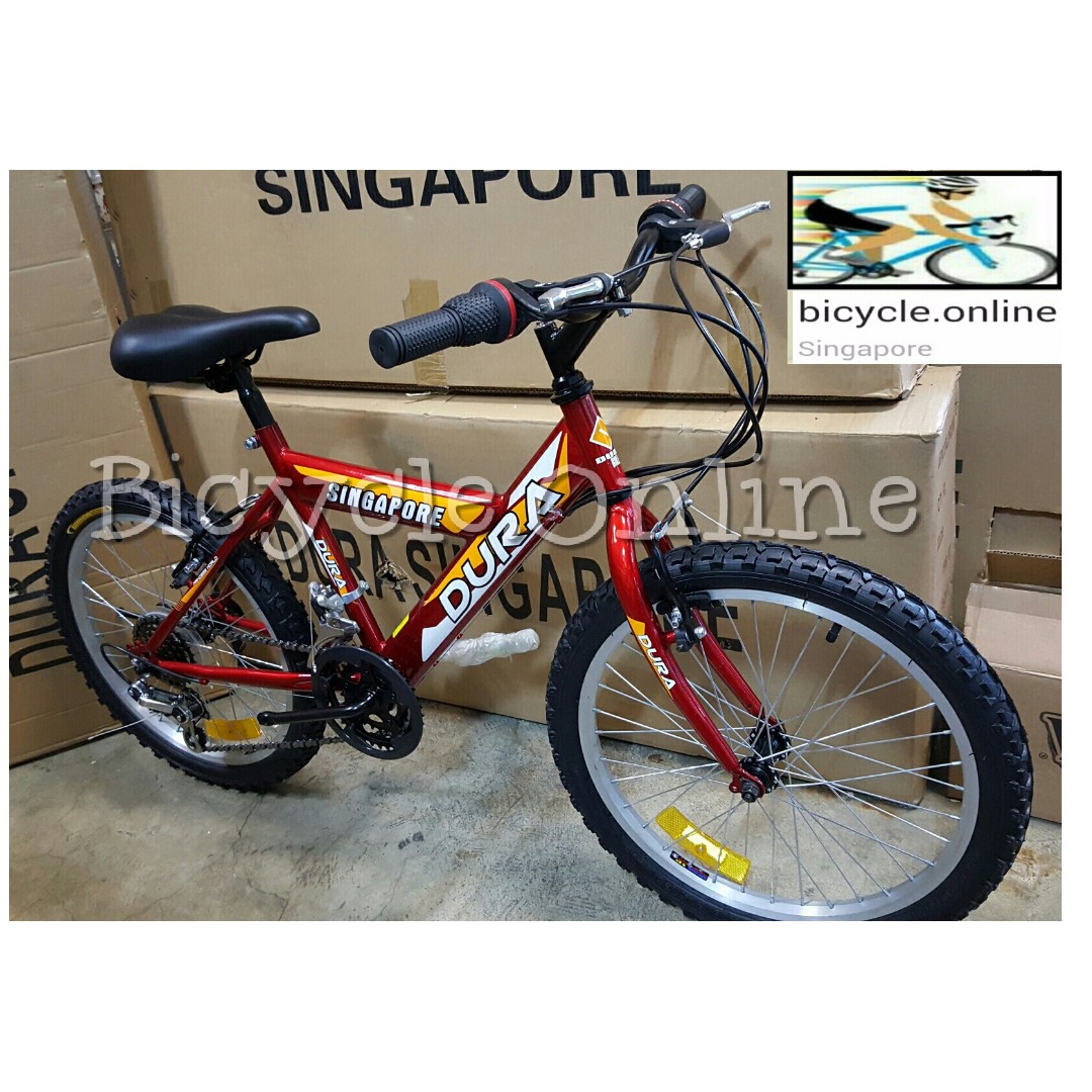 20 in bike for what age