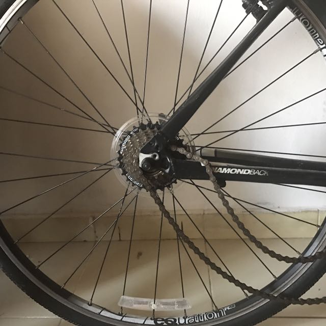Diamondback new arrivals insight 20