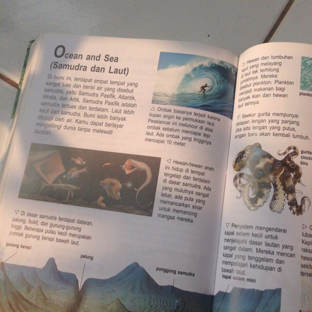 Enslikopedia Mini Erlangga For Kids Books Stationery