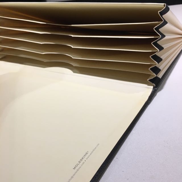 Moleskine Document Folder (A4 Folio Portfolio), Hobbies & Toys