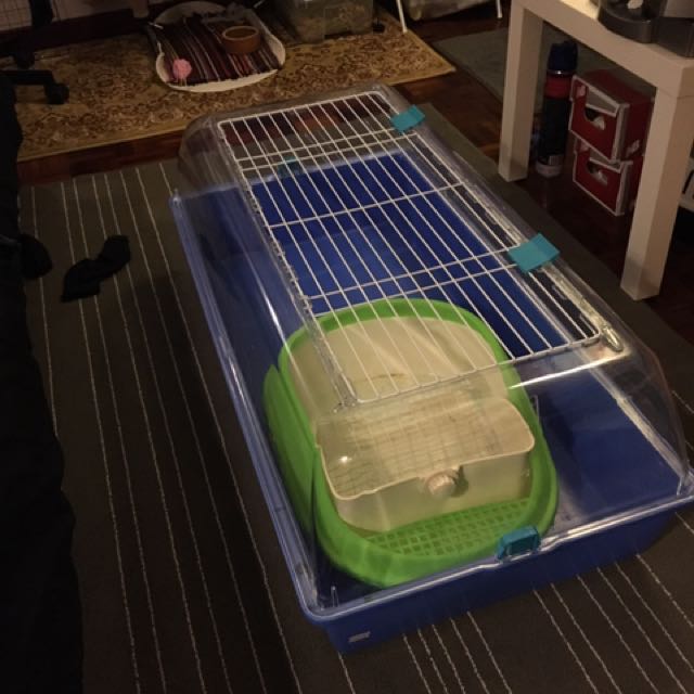 Hagen Zoozone Blue Indoor Cage (Large), Pet Supplies, Homes & Other Pet