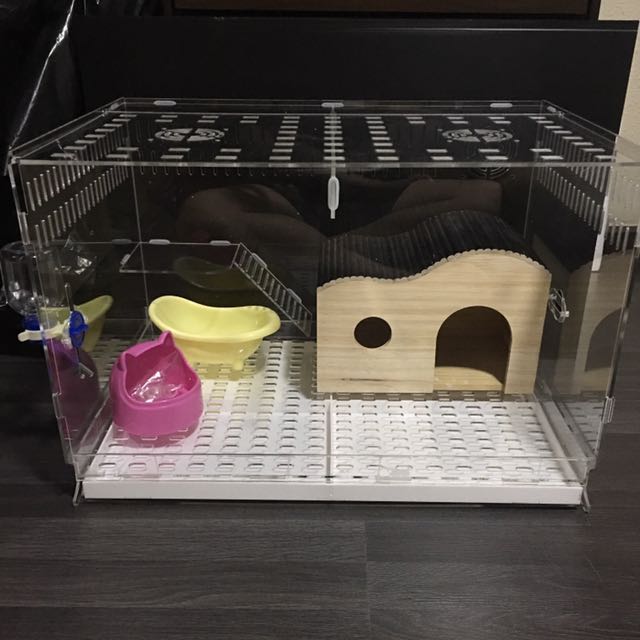 acrylic guinea pig cage