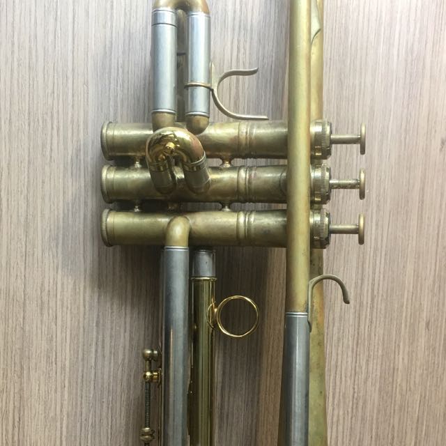 Wild top thing trumpet