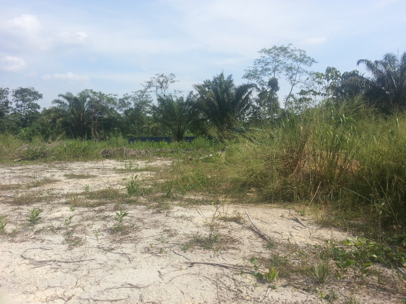 [WTR] 1 Acre Empty Land, Jalan Sungai Lalang, Semenyih, Property ...