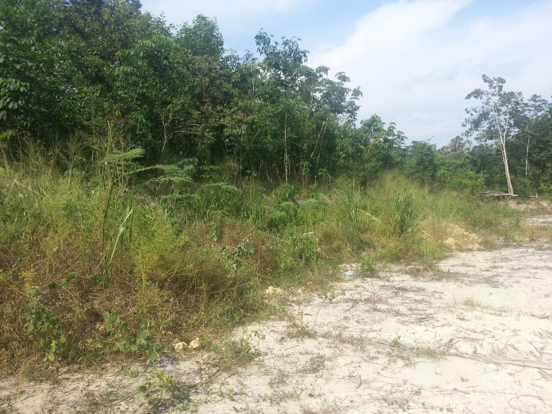 [WTR] 1 Acre Empty Land, Jalan Sungai Lalang, Semenyih, Property ...